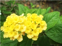 bd89181e-Picture 014.jpg